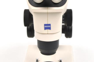 Stereomicroscope